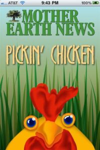 How to Pick a Chicken Breed Image